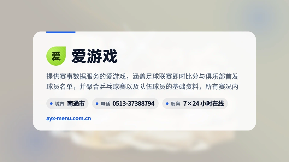 爱游戏概况
